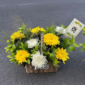 Daisy Basket #024